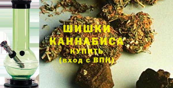 крисы Елабуга